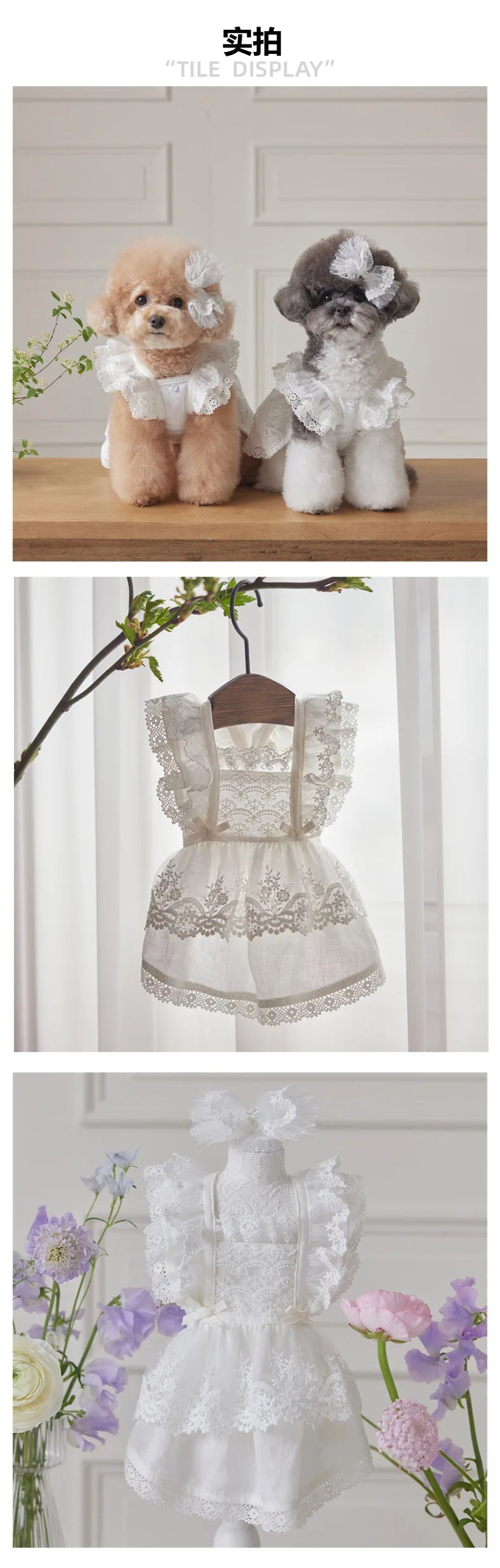 Pet Lace Flying Sleeve Dress Cat Top Spring Lace Princess Dress Small Dog Dog Dresses for Small Dogs Puppy Clothes by DERILUJA LLC