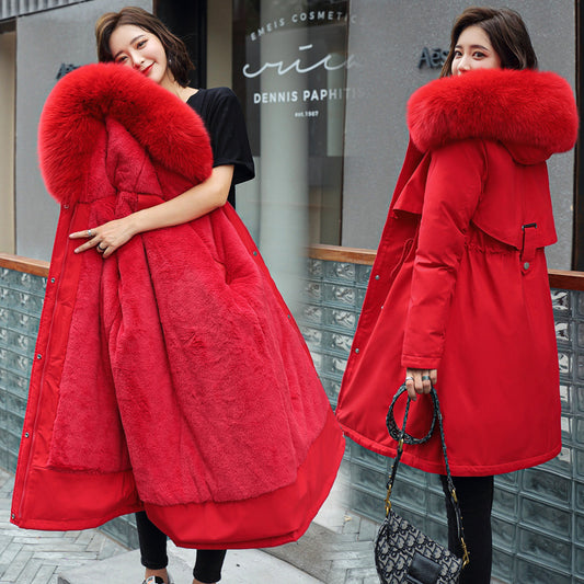 Korean version of long and medium length big fur collar with fleece jacket cotton jacket for women's fashion by eprolo
