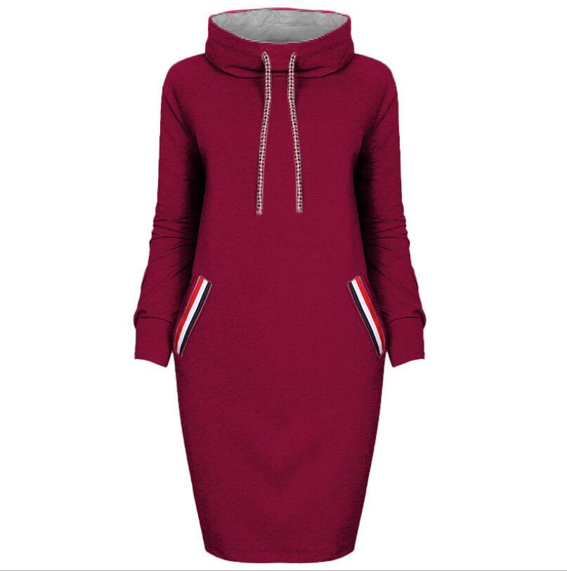 Autumn winter dress Long sleeve vestidos Casual party dresses vestido de festa women dress plus size High collar robe femme by DERILUJA LLC