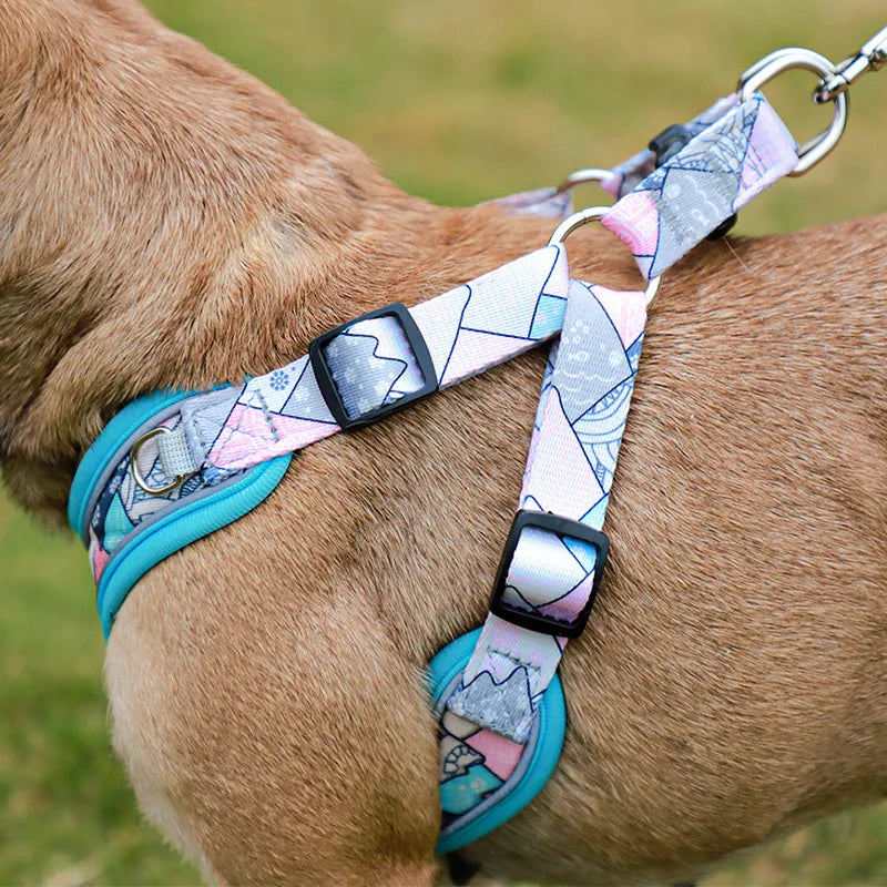 Luxury Pet Vest Harnesses for Small Medium Dogs Adjustable Mesh Puppy Dog Harness and Leash Set Shiba Inu Leads mascotas Chain by Badon Shop LLC