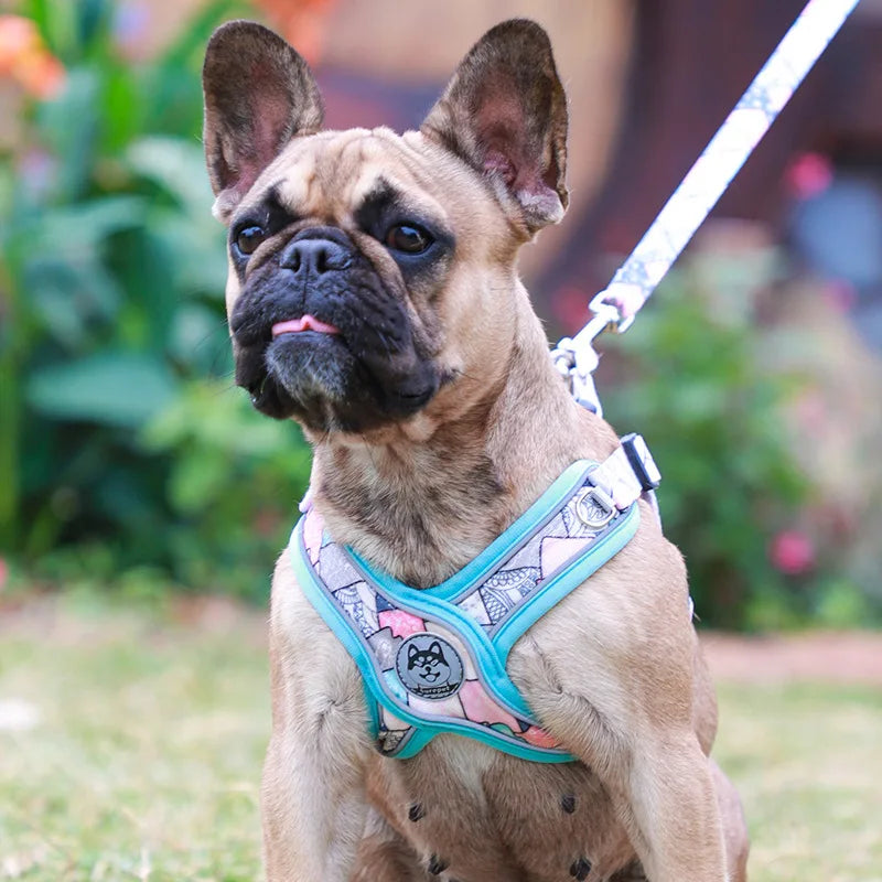 Luxury Pet Vest Harnesses for Small Medium Dogs Adjustable Mesh Puppy Dog Harness and Leash Set Shiba Inu Leads mascotas Chain by Badon Shop LLC
