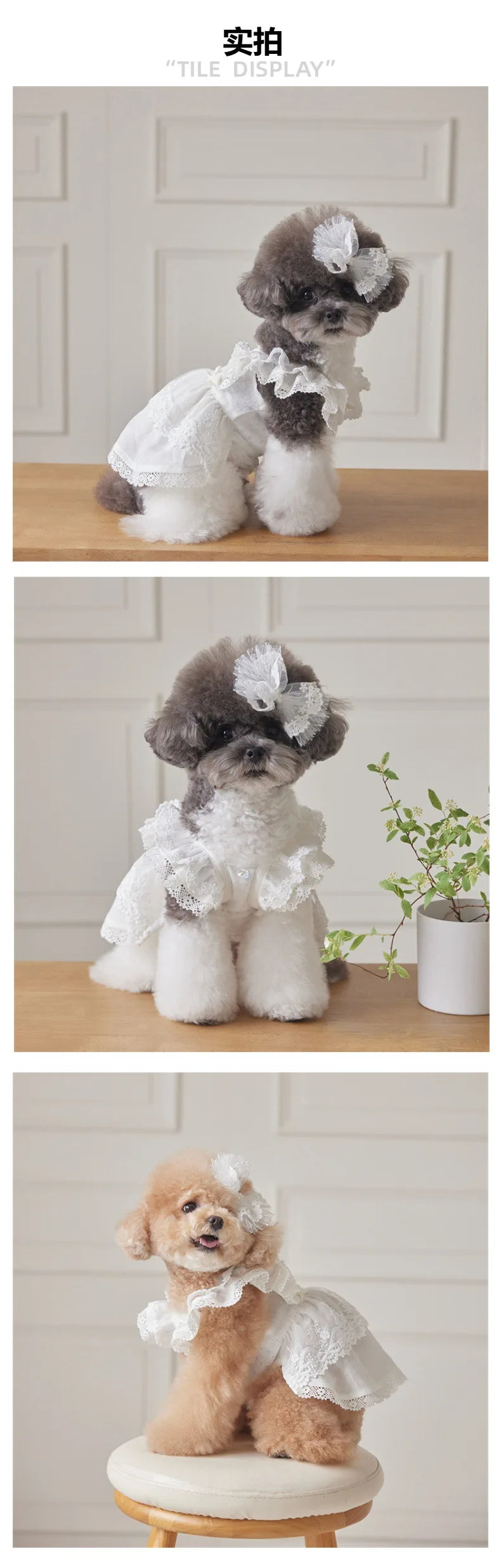 Pet Lace Flying Sleeve Dress Cat Top Spring Lace Princess Dress Small Dog Dog Dresses for Small Dogs Puppy Clothes by DERILUJA LLC