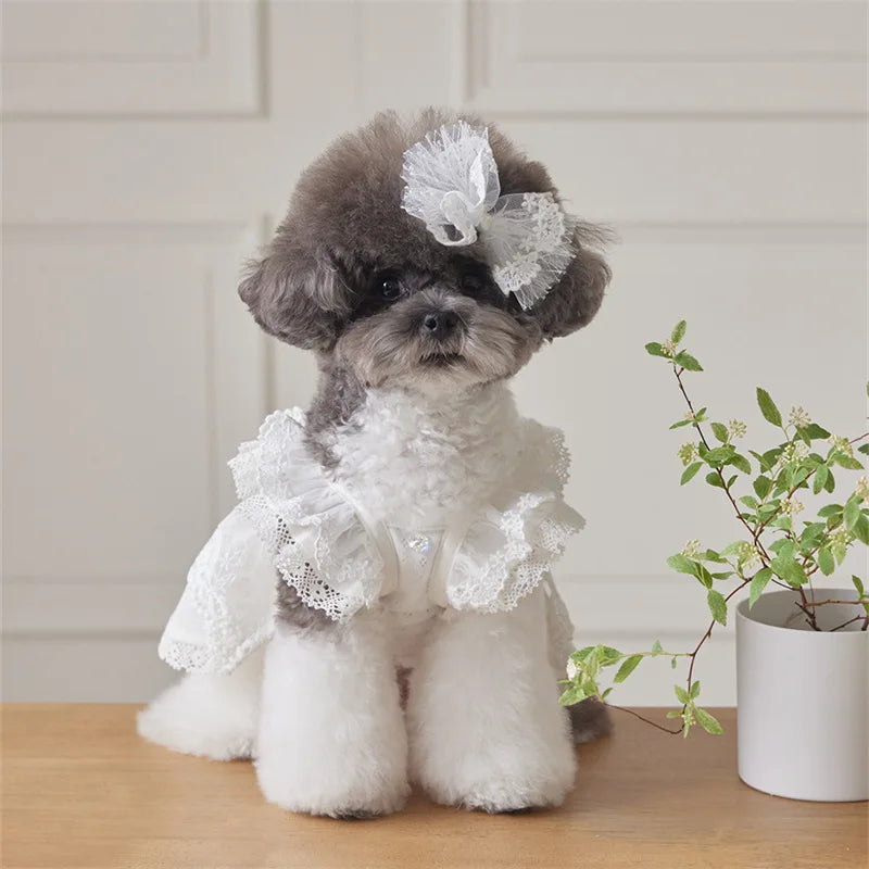 Pet Lace Flying Sleeve Dress Cat Top Spring Lace Princess Dress Small Dog Dog Dresses for Small Dogs Puppy Clothes by DERILUJA LLC