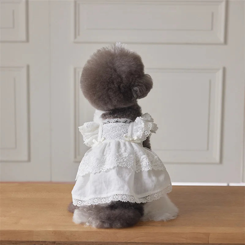 Pet Lace Flying Sleeve Dress Cat Top Spring Lace Princess Dress Small Dog Dog Dresses for Small Dogs Puppy Clothes by DERILUJA LLC