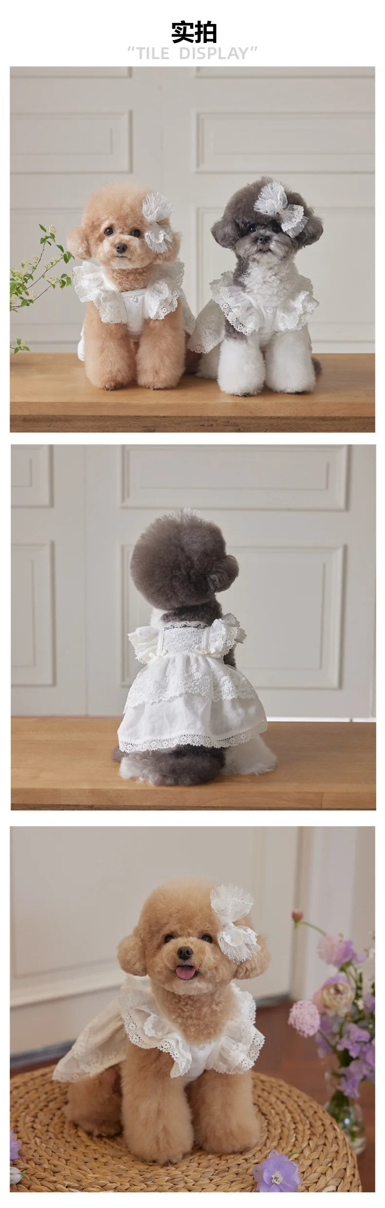 Pet Lace Flying Sleeve Dress Cat Top Spring Lace Princess Dress Small Dog Dog Dresses for Small Dogs Puppy Clothes by DERILUJA LLC