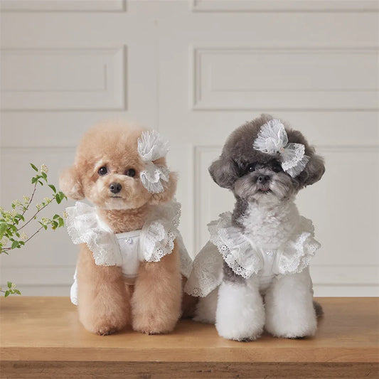 Pet Lace Flying Sleeve Dress Cat Top Spring Lace Princess Dress Small Dog Dog Dresses for Small Dogs Puppy Clothes by DERILUJA LLC